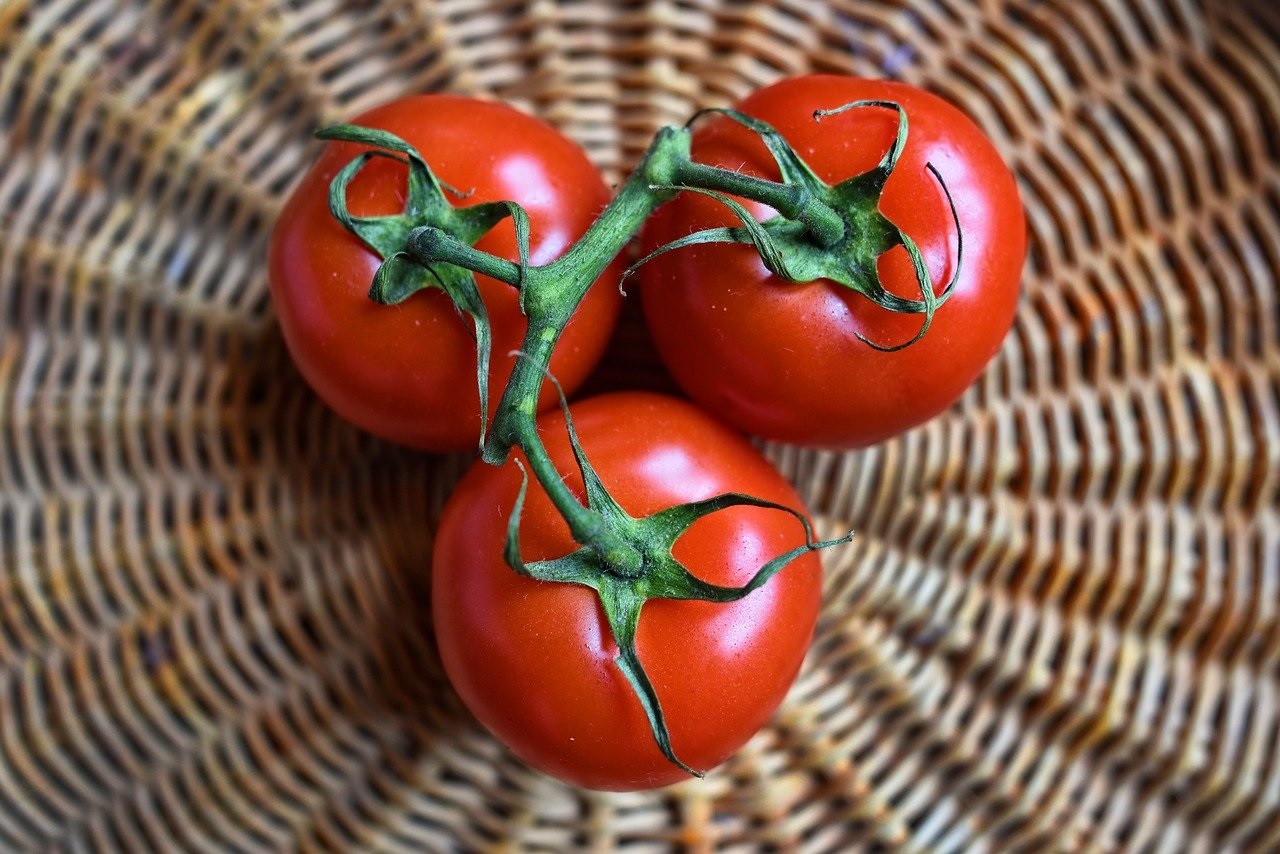 recette tarte thon, tomates et moutarde