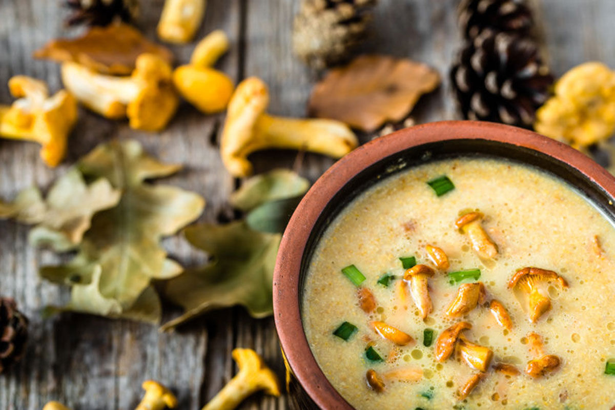 velouté de champignon