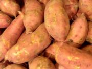 patate douce