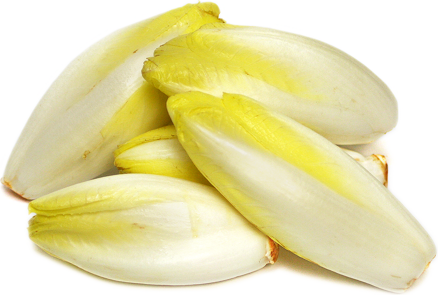 salade d'endive