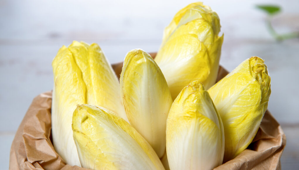 salade d'endive