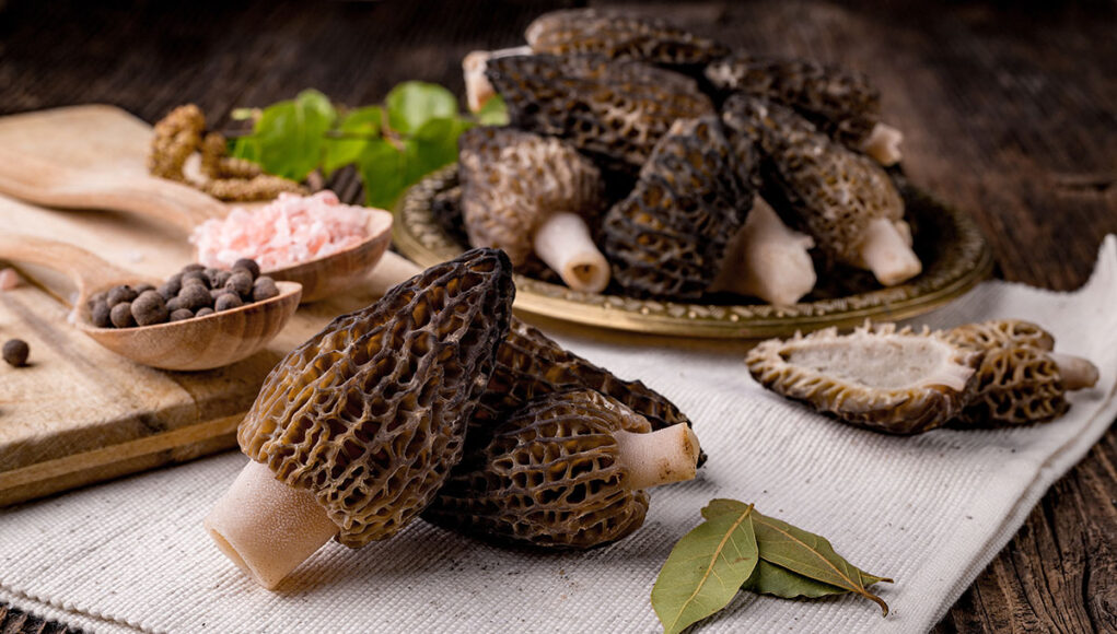 sauce aux morilles