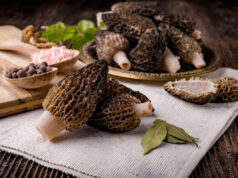 sauce aux morilles
