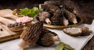 sauce aux morilles
